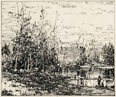 Bordo di uno stagno, Maine da William Louis Jnr. Sonntag
