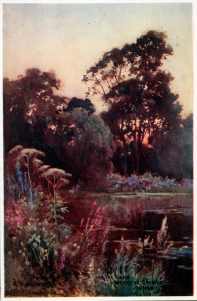 Giardino del Worcester College da William Matthison