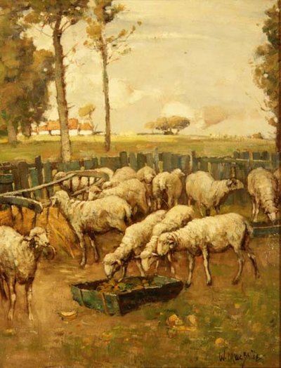 Il recinto delle pecore da William McBride