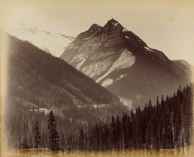 Ross Peak e il Loop dalla capanna della neve n. 19 da William McFarlane Notman