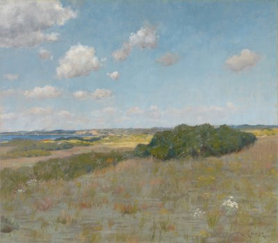 Luce del sole e ombra, Shinnecock Hills da William Merritt Chase
