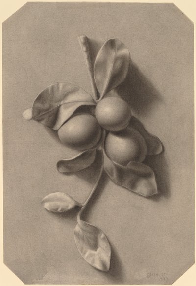 Un ramoscello di prugne da William Michael Harnett
