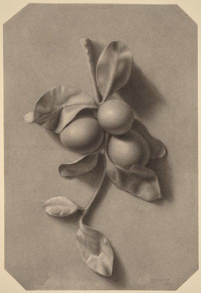Un rametto di prugne da William Michael Harnett