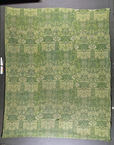 Tulipano da William Morris