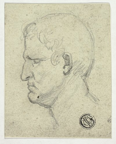 Testa dell