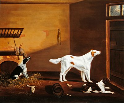 Tre cani in una stalla da William Nedham