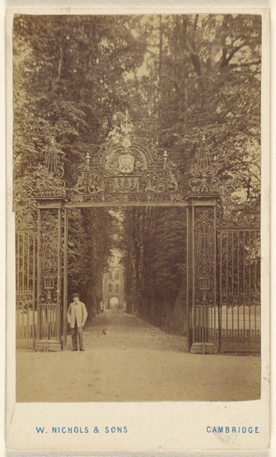 Viale Trinity Cole da William Nichols and Sons
