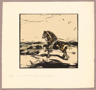 Il cavallo Shire da William Nicholson