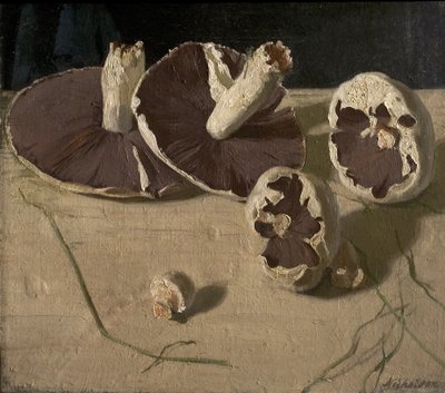 Funghi da William Nicholson
