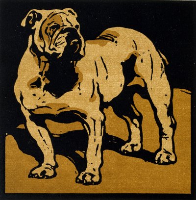 Il Bulldog Britannico, da 