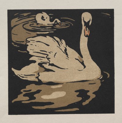 Il libro quadrato degli animali: Il bellissimo cigno da William Nicholson