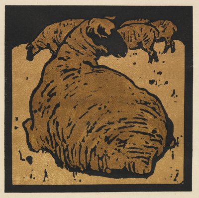 Il libro quadrato degli animali: La pecora semplice da William Nicholson
