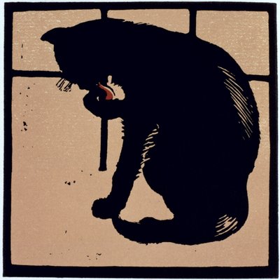 Il Gatto Non Comune, da 