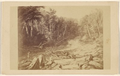 [Copia di un dipinto raffigurante una scena fluviale con un uomo in canoa che pesca]. da William Notman
