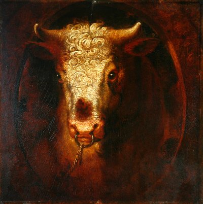 La testa del toro da William Overend Geller