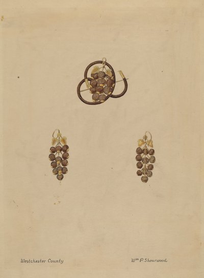 Spilla e orecchini di capelli da William P. Shearwood
