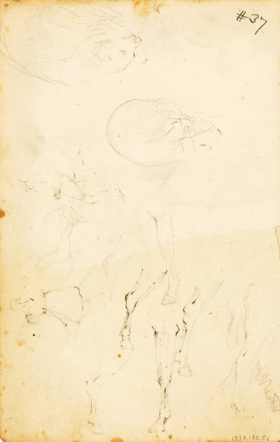 (Studi - figure, tronco, cavallo e cavaliere, ecc.) da William Page