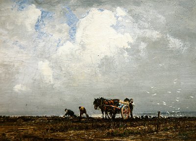 Raccolta di Alghe da William Page Atkinson Wells