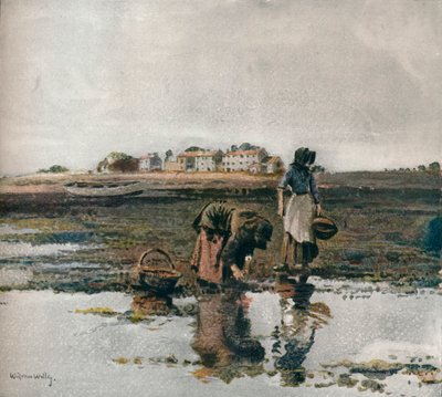 Raccolta di cozze, c1908 da William Page Atkinson Wells