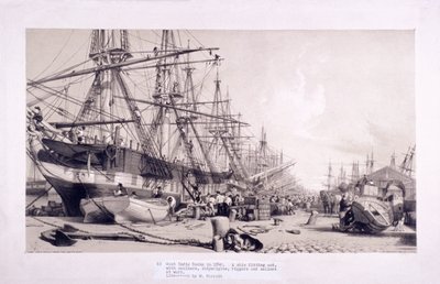 Docks delle Indie Occidentali, Poplar, Londra, 1830 da William Parrott
