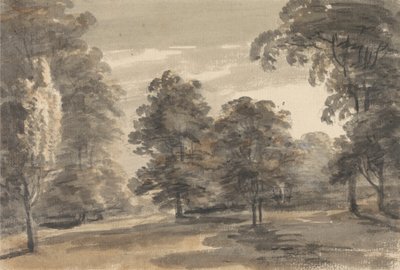 Una radura nel bosco da William Pars