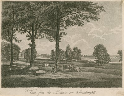 Vista dalla terrazza di Strawberry Hill, Londra da William Pars