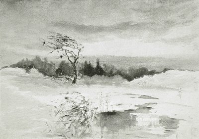Paesaggio con Acqua e Albero Spazzato dal Vento da William Parsons Winchester  Dana
