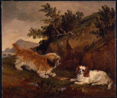 Paesaggio con spaniel e terrier da William Pascoe