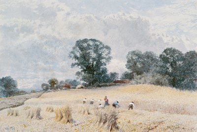 Il raccolto da William Paton Burton