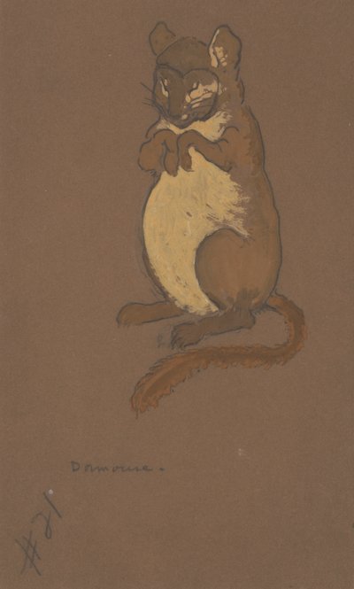 Costume del ghiro per Alice nel Paese delle Meraviglie da William Penhallow Henderson