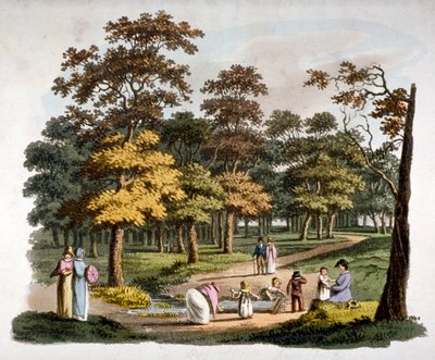 Veduta del pozzo 
