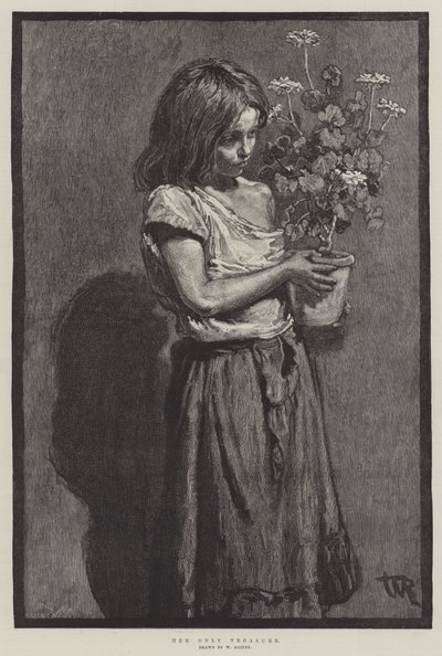 Il suo unico tesoro da William Rainey