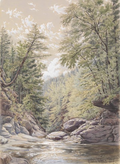 Catskill Clove a Palingsville da William Rickarby Miller