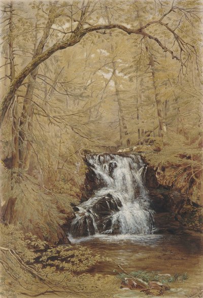 Cascate indiane, Indian Brook, Cold Springs, New York, 1850 da William Rickarby Miller