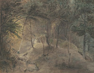 La vista dalla casa di sorgente a Echo, c.1808 da William Russell Birch