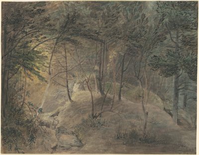 Vista dalla Sorgente a Echo da William Russell Birch