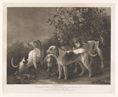 Quattro cani da caccia da William Satchwell Leney