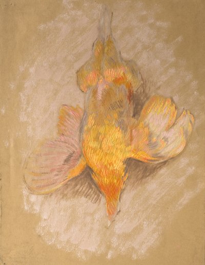 Studio di un uccello per Highland Raiders, c.1918 da William Shackleton