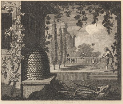 Le api degeneri da William Skelton