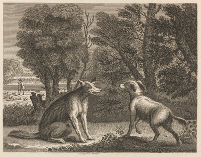 Il Cane del Pastore e il Lupo da William Skelton