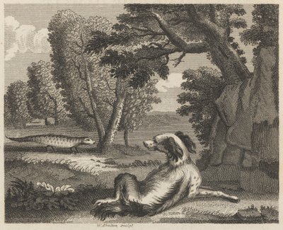 Il cagnolino e il camaleonte da William Skelton