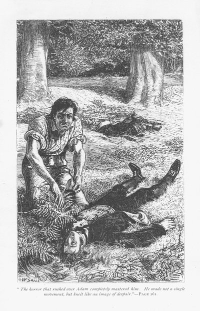 Adam Bede, avendo avuto la meglio su Arthur Donnithorne in una lotta, è inorridito nel vedere il suo rivale giacere incosciente. Adam Bede di George Eliot, pubblicato per la prima volta nel 1859. Illustrazione di William Small (1843-1929) da un