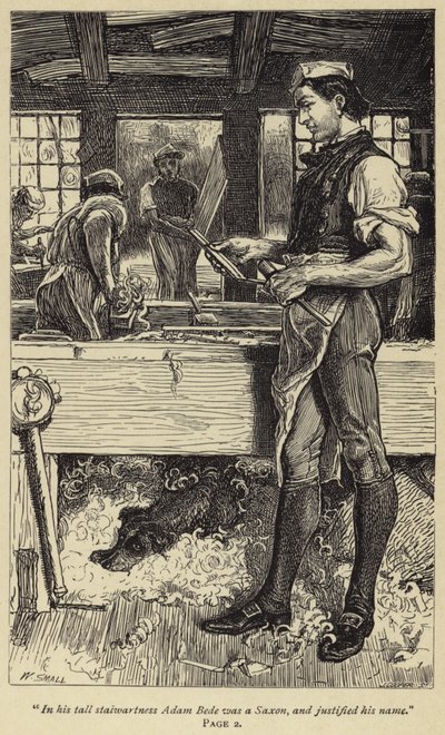 Nella sua alta statura Adam Bede era un sassone e giustificava il suo nome da William Small