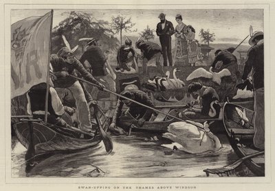 Swan-Upping sul Tamigi sopra Windsor da William Small