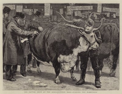 La mostra del bestiame alla Agricultural Hall, giudizio degli Hereford da William Small