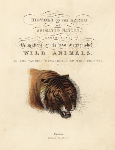 Pagina calligrafica con vignetta di tigre da William Smellie