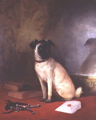 Riflessione - Ritratto di un carlino da William Snr. Shayer