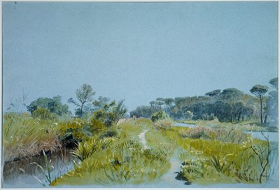 Castel Fusano - vicino a Roma da William Stanley Haseltine