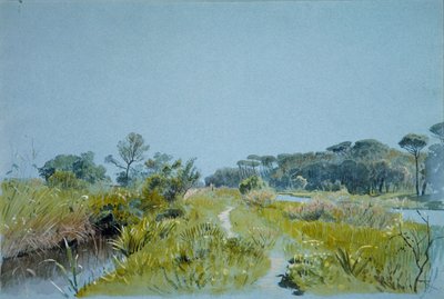 Castel Fusano vicino a Roma, ca. 1885 da William Stanley Haseltine