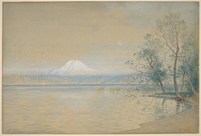  da William Stanley Haseltine